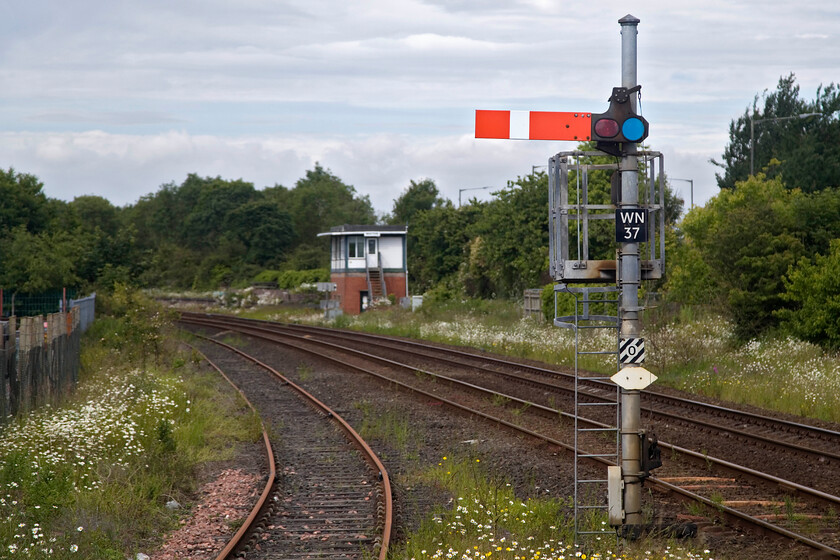 Wigton signal box (BR, 1957), up starter & loading bay 
 I took a very similar photograph to this one back in 2013 during my last visit to Wigton, see.... https://www.ontheupfast.com/p/21936chg/30061915043/x12-wigton-signal-box-br-1957-up. However, I make no excuses for taking another as the number of mechanical boxes on the network has shrunk massively since then. The box is a standard British Railways (LMR) box constructed in 1957. I have no information as to what it replaced unless anybody can advise. It is now the fringe box from Carlisle. It does not look like the short siding to the loading bay behind me has seen anything on it for a long time! Re-visiting my web notes from 2013 reveals that I made a very similar comment then! 
 Keywords: Wigton signal box BR, 1957 up starter