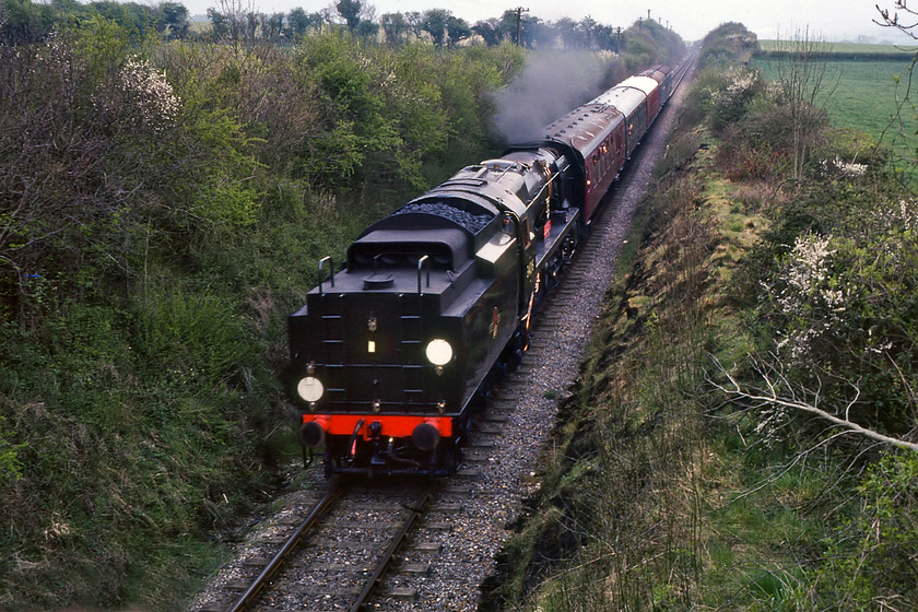 34016, 16.25 Ropley-New Alresford working, Bishop's Sutton SU610325 
 34016 'Bodmin' descends with the 16.25 Ropley to New Alresford near the village of Bishop's Sutton. Not the best photograph of a black locomotive in a tight and narrow cutting but, for the record, I have submitted it. The Southern Region discs on the tender indicate the following workings:

-London Bridge and Portsmouth via Mitcham Junc
-Oxted and Lewes or Seaford or Eastbourne via Haywards Heath and Keymer Junc (Change to N5 or N21 code at Lewes)
-Victoria and Sutton via Thornton Heath
-Holborn and Wimbledon
-London Bridge or Bricklayers' Arms and Dover via Chislehurst Loop and Maidstone East
-Waterloo and Nine Elms and Brockenhurst and Bournemouth West via Sway
-Waterloo or Nine Elms and Waterloo via Brentford

Take your pick! 
 Keywords: 34016 16.25 Ropley-New Alresford working Bishop's Sutton SU610325