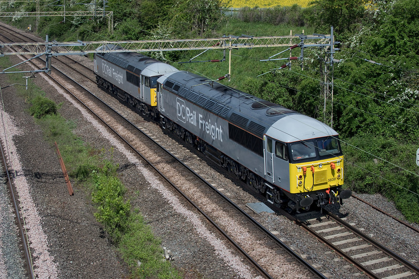 56091 & 56103, 11.08 Leicester LIP-Willesden DC Rail Sidings (0Z56), Victoria bridge 
 Looking very smart in their DC Rail Freight liveries, 56091 and 56103 head south down the WCML just south of Roade in Northamptonshire. The two vintage class 56s were heading south having left Leicester to collect some wagons from Willesden returning them to Chaddesdon just north of Derby. This 0Z56 light engine movement was running early and if I had not been tracking its progress on Open Train Times then I would have pretty comprehensively missed it! 
 Keywords: 56091 56103 11.08 Leicester LIP-Willesden DC Rail Sidings 0Z56 Victoria bridge