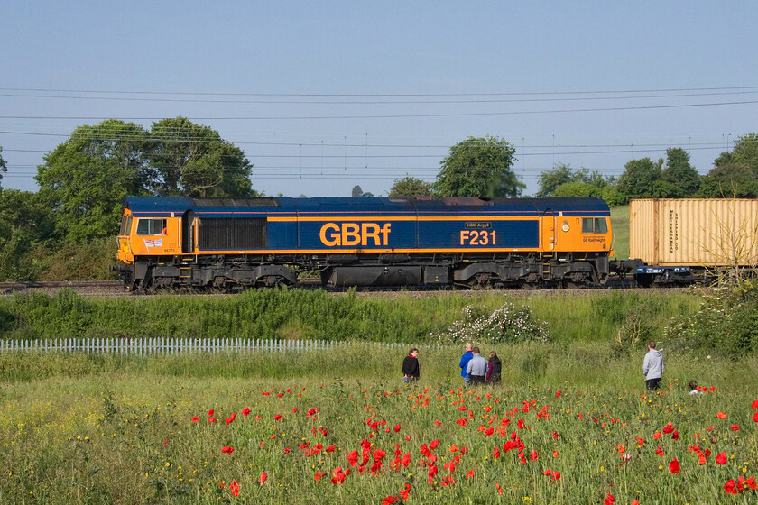 66775, 06.21 Hams Hall-London Gateway (4L12, 4L), between Roade & Ashton 
 I chose this relatively remote (or so I thought) spot to capture the passing of 'Flying Scotsman' hoping and thinking that normals would not venture her from the nearby village of Roade; how wrong I was! Some twenty minutes before it was due no fewer than six locals have gathered that includes my neighbours but two! As an aperitif for them 66775 'H.M.S. Argyll F231' does not attract all of their collective attention leading the 4L12 06.31 Hams Hall to London Gateway service. As I was sitting on my small stool low down in the tram lines of the field I don't think that even spotted me! 
 Keywords: 66775 06.21 Hams Hall-London Gateway 4L12 between Roade & Ashton H.M.S. Argyll F231