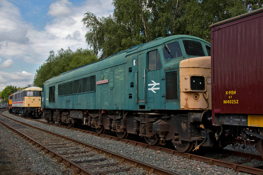 45060, 82008 & 20304, on display, Barrow Hill 
 45060 'Sherwood Forester' is looking distinctly faded standing at Barrow Hill. The Peak is owned and maintained by the Pioneer Diesel Locomotive Group Archive but has seen little action in more recent years from the times when it was frequently seen as a guest locomotive on various heritage lines. On this end, it has a split box headcode but on the other it has the more conventional boxed-off panel with a pair of marker lights fitted. Towards the rear of the Peak are 82008 and 20304. 
 Keywords: 45060 82008 20304 on display Barrow Hill Sherwood Forester Pioneer Diesel Locomotive Group Archive