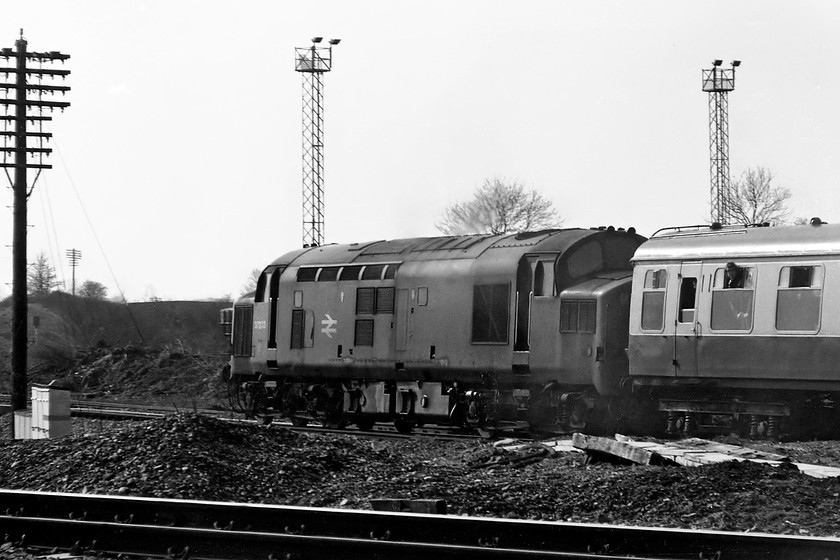 37233 The Pines Express 07.48 London Paddington-Weymouth (via Bristol & various freight lines) Westbury south 
 37233 takes The Pines Express away from Westbury past the South yard. I seemed to take a fair number of going-away shots at this time in my photographic and train-spotting career that is strange as every picture had to count due to the cost. After becoming 37889 in 1985, this locomotive was withdrawn in June 1999 and cut up by the Harry Needle Railroad Company in 2007. 
 Keywords: 37233 The Pines Express 07.48 London Paddington-Weymouth Westbury South