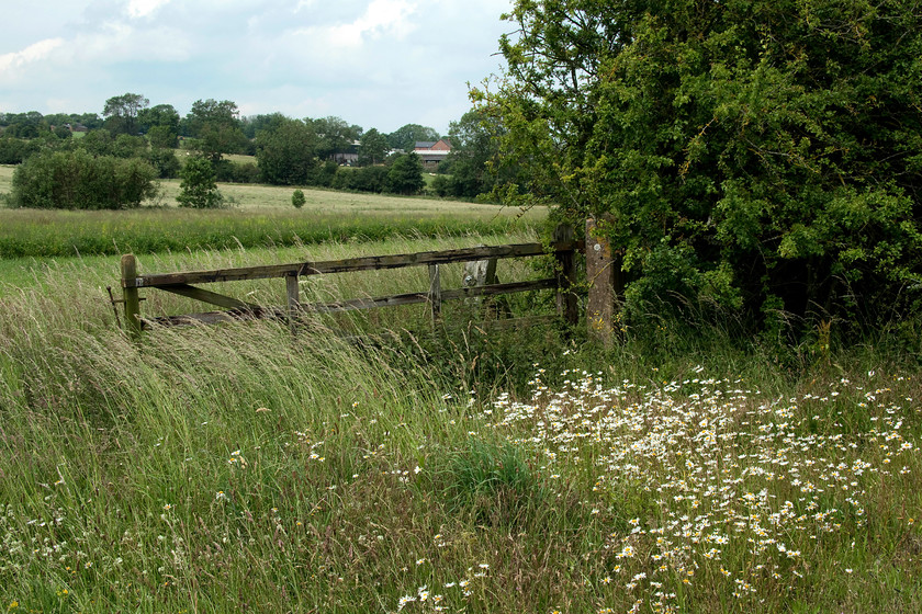 Gate, Brampton Valley Way SP736705 
 A gate that once protected an occupation crossing over the Northampton to Market Harborough line just near to the Spratton to Brixworth road crossing. On the other side of the track, the corresponding gate had gone but the tell-tale concrete post was still extant. This is just one example of the former railway infrastructure that is still in place along the lenght of the line that is now home to the very popular Brampton Valley Way. 
 Keywords: Gate Brampton Valley Way SP736705