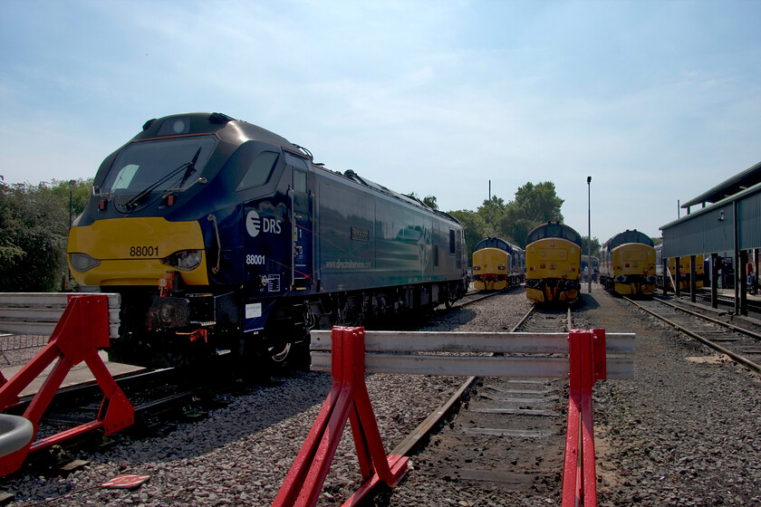 88001, 37218, 37401, 37419 & 37425, on display, Crewe Gresty Bridge 
 Another photograph taken at DRS's Gresty Bridge open day that reveals more sensible numbers attending than in previous years. In the past I have had to wait patiently, camera to the eye, waiting for a gap in the hoards of other enthusiasts to get 'that shot'. No waiting this time around so perhaps attending in the afternoon, with a post 13.00 ticket was the way to go! In this photograph, 88001 'Revolution' lines up with 37218, 37401, 37419 'Carl Haviland' and 37425 'Sir Robert McAlpine/Concrete Bob'. 
 Keywords: 88001 37218 37401 37419 37425 on display Crewe Gresty Bridge Revolution Carl Haviland Sir Robert McAlpine/Concrete Bob