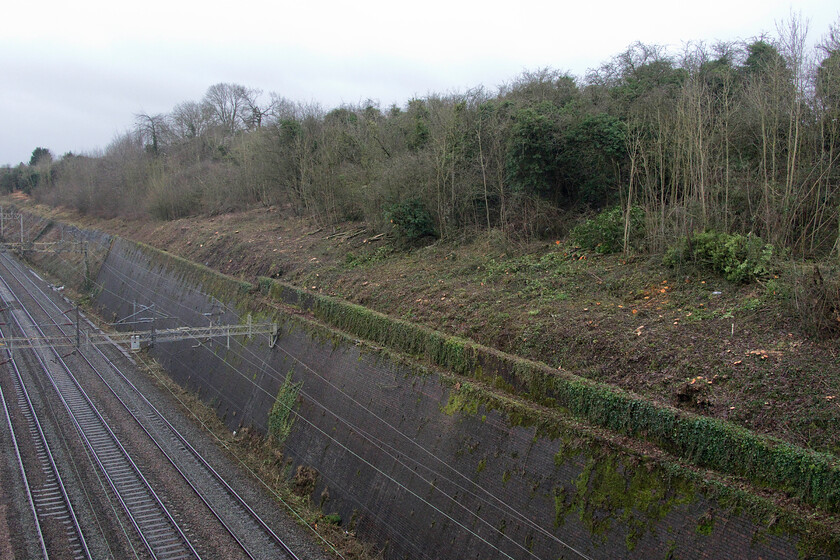 Tree clearance, Roade cutting 
 It seems a shame that there needs to be huge bursts of activity when the railways are closed to undertake clearance of the chronically overgrown embankments; regular maintenance would surely be a better way of doing this? The scene in Roade cutting shows the result of clearance over the Christmas period on the western side of the cutting that brought an army of orange-clad contractors to the village wielding their chainsaws!

This is my last photograph of 2022. A happy New Year to all of my readers! 
 Keywords: Tree clearance Roade cutting