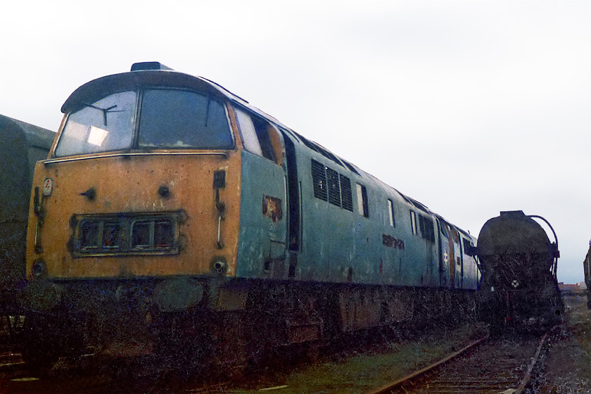 D1003 & D1016, scrap-line, Swindon Works 
 These two Westerns had languished at Swindon for some time. D1003 'Western Pioneer' and D1016 'Western Gladiator' were withdrawn in January and December 1975 respectively. 
 Keywords: D1003 Western Pioneer D1016 Western Gladiator Swindon Works scrap lines