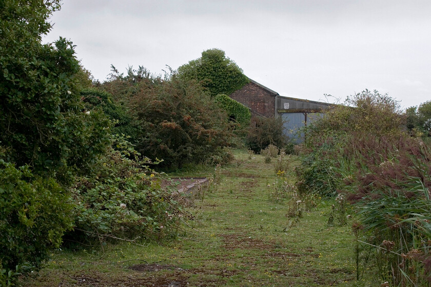 Former goods shed & weighbridge, Postland 
 Like the adjacent signal box, the former Postalnd goods shed looks to be in need of some renovation work. Located on the down side of the former March to Spalding GN & GE Joint line it is enveloped in a cloak of ivy. Notice the weighbridge to the left. 
 Keywords: Former goods shed & weigh bridge Postland