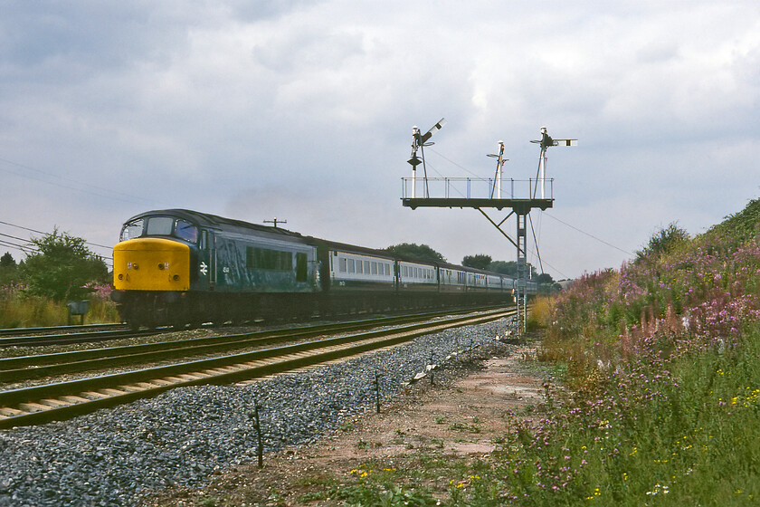 45149, 14.07 Derby-London St. Pancras (1C59), Sileby 
 The 1C59 14.07 Derby to St. Pancras service passes Sileby at speed going under its fine up bracket signal with its twin dolls for the up slow and fast lines. Not a great picture in really flat summer lighting but a Peak is a Peak after all! 45149 is still with us today operating, after a protracted restoration, on the Gloucestershire and Warwickshire Railway, see..... https://www.ontheupfast.com/p/21936chg/30025381056/x45149-stabled-toddington-yard-gloucestershire As it is mid-August no railway embankment would be without its fine display of Rosebay Willowherb (Chamaenerion angustifolium) as is seen in the foreground. 
 Keywords: 45149 14.07 Derby-London St. Pancras 1C59 Sileby Peak