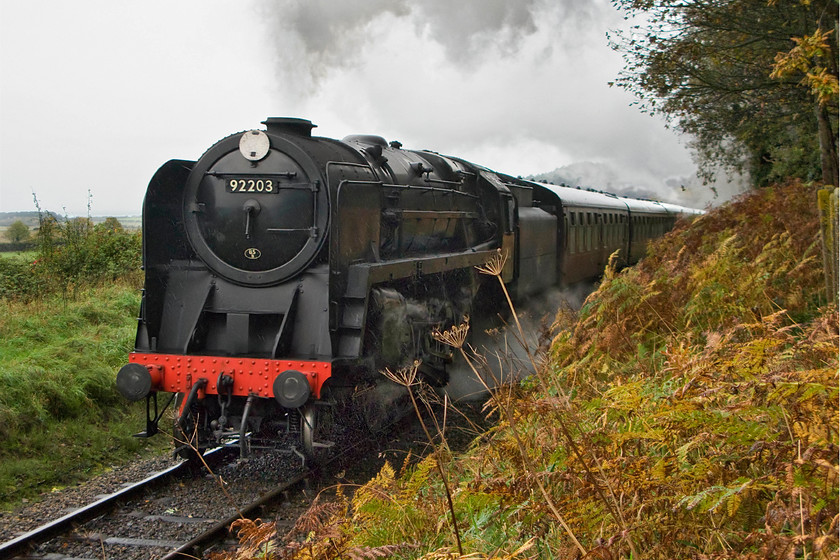 92203, 10.30 Sheringham-Holt, Kelling Woods 
 In pouring rain 92203 'Black Prince' launches itself up Kelling Bank with the first steam-hauled service of the day, the 10.30 Sheringham to Holt. The photograph is taken on the 'right side' of the line from a small viewing area adjacent to a popular footpath from the Kelling Heath caravan park to Weybourne station that is a short distance away.

An audio recording of this event can be enjoyed at..... https://youtu.be/bMD2CyPAR3M 
 Keywords: 92203 10.30 Sheringham-Holt Kelling Woods Black Prince NNR Poppy Line North Norfolk Railway