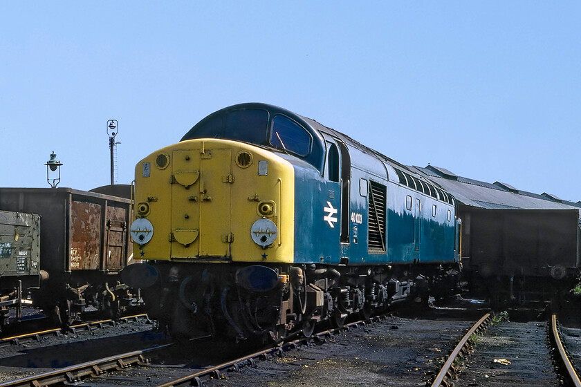 40003, stabled, Llandudno Junction depot 
 Being a Sunday afternoon Graham and I had no bother 'bagging' Llandudno Junction depot! I recall that the gate was open and that we just walked in finding it devoid of any staff. The prize for our clandestine visit was to find 40003 (ex D203) on-shed among a huge number of ancient vacuum wagons of various types. I am not sure as to when 40003 arrived at the depot with the fabled Mother List website having it placed at Holyhead depot the previous day. The 40 survived for just over a year after this photograph was taken being withdrawn at Healey Mills on 12.09.82 taking a further two years to be cut up at Doncaster, a process completed by January 1984. 
 Keywords: 40003 stabled Llandudno Junction depot Whistler