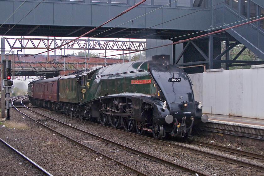 60009, outward leg of The Cheshireman, 07.14 London Euston-Chester (1Z91), Northampton station 
 Whilst waiting at Northampton station for our train south to Milton Keynes, 60009 'Union of South Africa' arrives with the 1Z91 Chesireman charter. The 1937 built A4 looks a little out of place arriving at Northampton underneath the station's brand new, but yet to open, footbridge. 
 Keywords: 60009 The Cheshireman, 07.14 London Euston-Chester 1Z91 Northampton station Union of South Africa