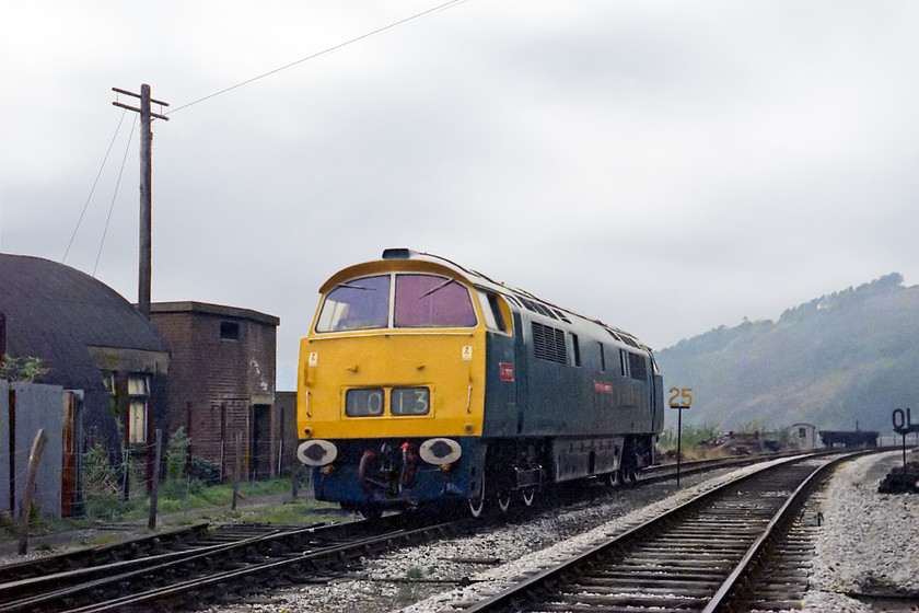 D1013, running round, Kingswear SX884514 
 D1013 'Western Ranger' is seen running round at Kingswear in order to get access to its next train, the final return working to Paignton. The Dart estuary is just behind the loco. and the hut to the left. 
 Keywords: D1013 running round Kingswear SX884514