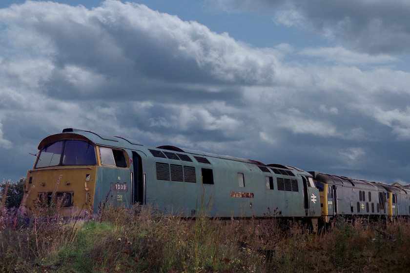 D1009, 24141 & 24085, scrap-line, Swindon Works 
 D1009 'Western Invader' covered nearly 1.4 million miles in its lifetime, one of the highest record mileages of the entire class. It was withdrawn in November 1976 so had been here at Swindon for nearly a year when this picture was taken. The 24s in the background are 24141 and 24085.