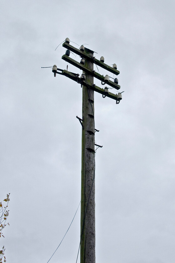 Telegraph pole, The Engine Shed, Students' Union building, UON Riverside campus 
 A telegraph pole is a reminder of the practicalities of the area around the Midland Railway's former line adjacent to the superbly restored 1872 engine shed that is behind me. The area was home to a substantial area of sidings being in use by the PW department in various forms up until as relatively recently as 2003. This telegraph pole still with a number of its porcelain insulators would have carried wires linking Hardingstone Junction and Bridge Street signal boxes. 
 Keywords: Telegraph pole The Engine Shed Students' Union building UON Riverside campus