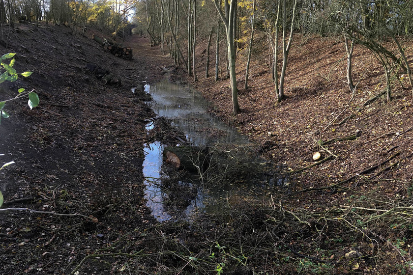 SMJ trackbed, M1 wind farm SP779522 
 The shallow cutting that used to contain the SMJ railway is seen adjacent to the M1 wind farm site in Northamptonshire. This view has just been opened up as the landowner has completed a considerable amount of tree clearance on the south side of the cutting. 
 Keywords: SMJ trackbed M1 windfarm SP779522