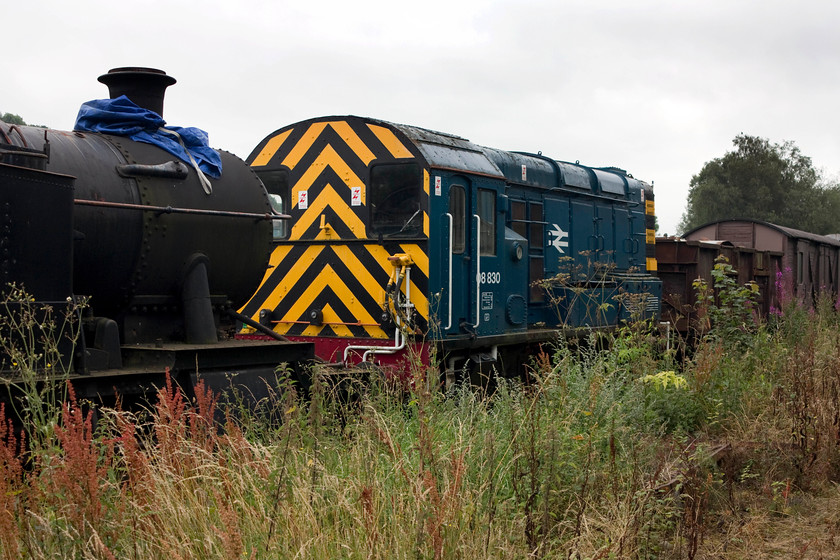 08830, stored, Rowsley yard 
 08830 shunter is a bit of a celebrity. Not only was it one of LNWR's fleet that was painted in gloss black and had the company initials reproduced in gold on the side but it is also one that has been modelled by Hornby with a very reasonably well-weathered example available in one of their famous red boxes. Here at Peak Rail, the real 08830 stands in a line of stock awaiting work. 
 Keywords: 08830 Rowsley yard