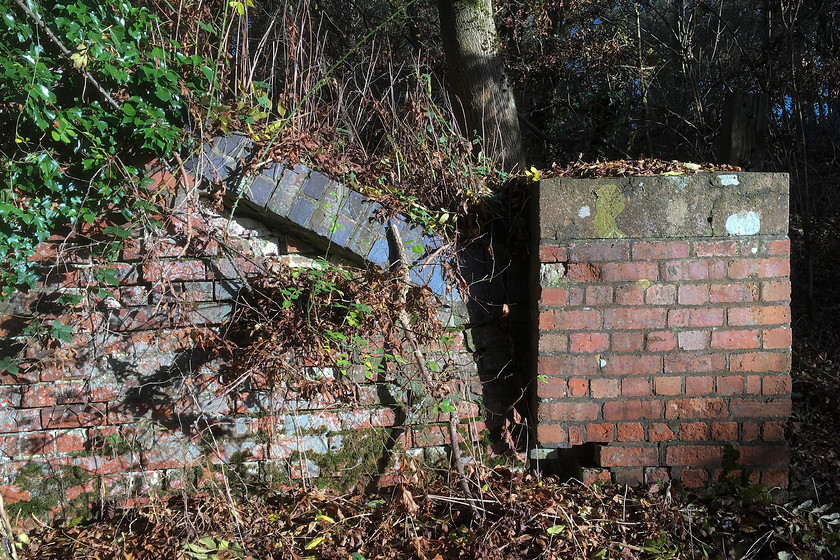 SMJ railway bridge abutment, Stoke Bruerne SP738505 
 The low autumn sun picks up the lovely colours of the the former SMJ bridge abutment just north of Stoke Bruerne. There are some worrying cracks appearing in the Victorian brickwork, not surprising given the attack it is under from the trees and plants that have taken over. 
 Keywords: SMJ railway bridge abutment Stoke Bruerne SP738505