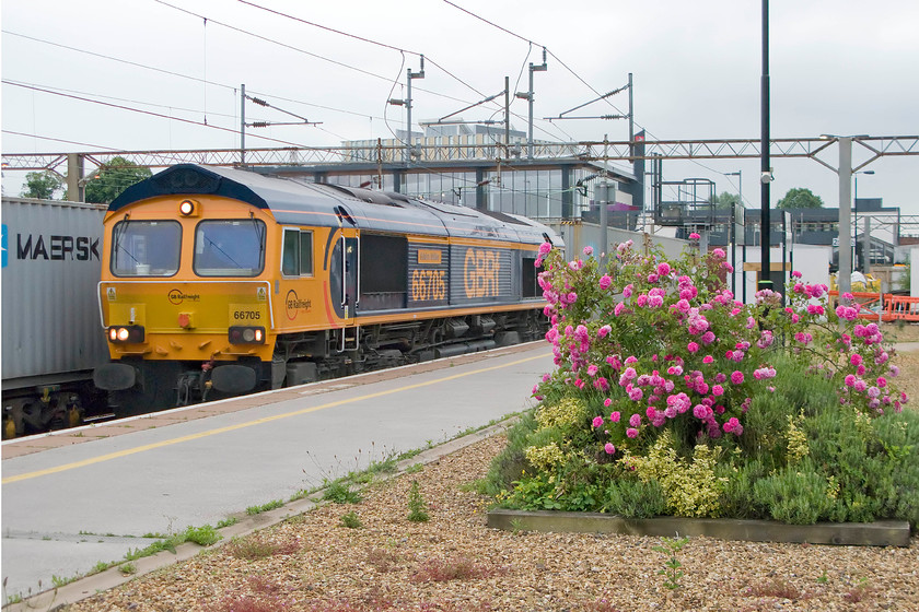 66705, 03.10 Felixstowe North-Trafford Park (4M21), Northampton station 
 With some lovely summer roses brightening the otherwise dull scene at Northampton 66705 'Golden Jubilee' passes through platform two with the 4M2 03.10 Felixstowe North to Trafford Park Freightliner. The down Freightliner is passing the 4L41 06.04 Crewe Basford Hall to Felixstowe service that has come to a halt at a red signal waiting for an up passenger working to depart. 
 Keywords: 66705 03.10 Felixstowe North-Trafford Park 4M21 Northampton station GBRF Freightliner Golden Jubilee