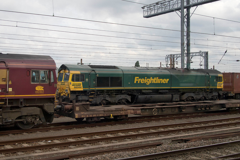 66116 & 66566, stabled, Wembley yard 
 A pair of class 66s in different liveries sit stabled in Wembley yard. Partially out of shot to the left is 66116 in its old EWS livery complete with branding on the cab side, not many still display this with a large DB vinyl normally stuck over the 'big beasties'. In the centre of the shot is 66566 in Freightliner's green livery 
 Keywords: 66116 66566 stabled Wembley yard