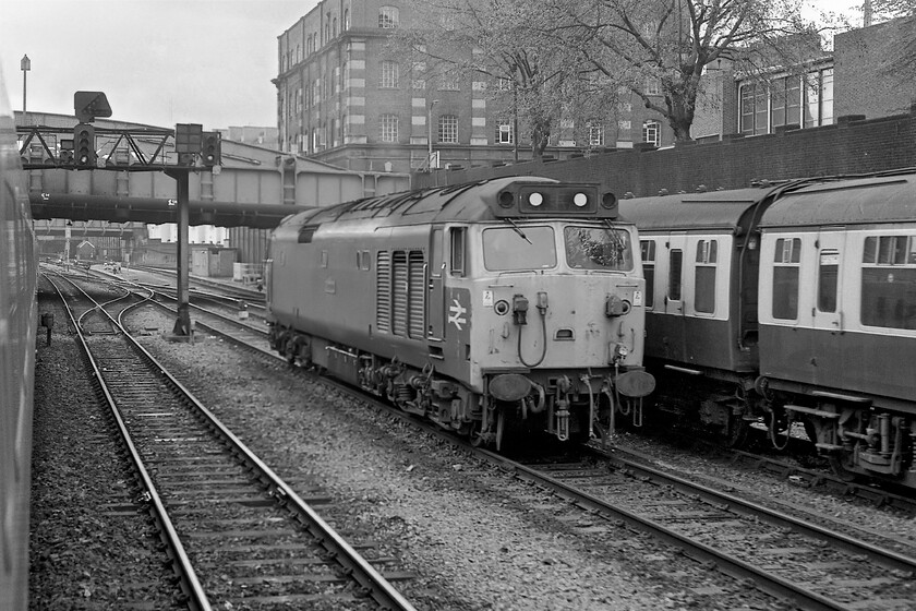 50009, LE, Westbourne Park 
 As our HST, the 05.53 Plymouth to London service, approaches Paddington at Westbourne Park 50009 'Conquerer' is seen waiting for a path back to Old Oak Common whilst a set of Mk. 1 stock also waits to make the same journey. Indeed, it is possible that 50009 will have led the same set of stock inbound earlier and now is released from the platform end. Later in the day this Class 50 did a return run to Bristol Temple Meads (1A19 was the returning up train) and followed by a commuter service to Oxford (1A44). The substantial bridge crossing the line behind the 50 carries Porchester Road with Royal Oak tube station accessed at the left-hand end. 
 Keywords: 50009 light engine Westbourne Park Conquerer