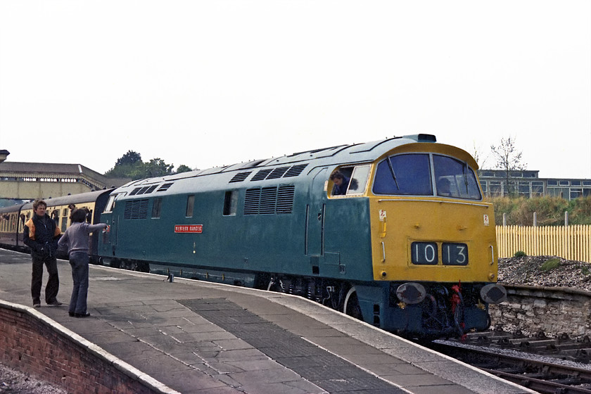 D1013, 13.45 Kingswear-Paignton, Churston station 
 D1013 'Western Ranger' waits at Churston with the 13.45 Kingswear to Paignton. My spotting companion, Guy Vincent, is seen holding his cassette recorder up to capture the sounds of the Maybach engine but the member of staff looks as through he is going to challenge Guy with regard to his position on the station ramp! This was the last day of operation on the Torbay and Devon Railway before D1013 moved to its new home on the Severn Valley where it has resided ever since. 
 Keywords: D1013 13.45 Kingswear-Paignton Churston station