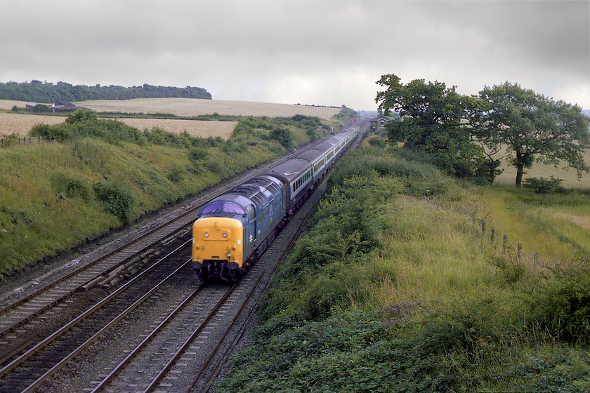 55003, 15.00 London Kings Cross-Aberdeen (1S31), Eaton Wood SK723773 
 55003 'Meld' plunges down the 1:200 gradient on its approach to Retford about to pass Eaton Wood leading the 15.00 1S31 King's Cross to Aberdeen. The building level with the rear of the train is the old crossing keeper's house at Gamston level crossing. There was also a signal box at this remote location halfway along Causeway Lane until the box was abolished. I have no details when the box was closed but, I suspect that it was the early to mid 1970s? 
 Keywords: 55003 15.00 London Kings Cross-Aberdeen 1S31 Eaton Wood SK723773