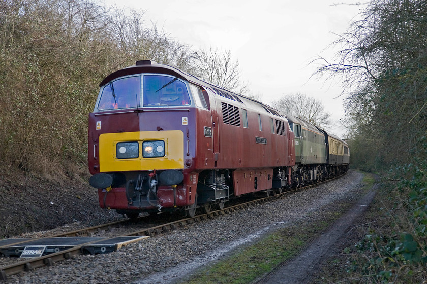 D1015 & 47773, outward leg of the Chiltern Champion II (1Z52), 12.40 London Marylebone-Oxford, Quainton SP731195 
 Having already visited London Marleybone travelling up via the Banbury, Bicester and High Wycombe route The Chiltern Champion II charter is now seen heading north again having traversed the Princes Risborough, Aylesbury and Quainton Road route. It is now well off the beaten track on the freight-only section leading to Calvert and Claydon L.N.E. Junction. D1015 'Western Champion' leads 47773 around the curve marking the start of the original Great Central route proper just to the north of Quainton Road station and heritage centre. This location was where the GC/GWR Joint line continued on a short spur to its northern limit of operations at Verney Junction. 
 Keywords: D1015 47773 The Chiltern Champion II 1Z52 12.40 London Marylebone-Oxford Quainton SP731195 Western Champion Vintage Trains