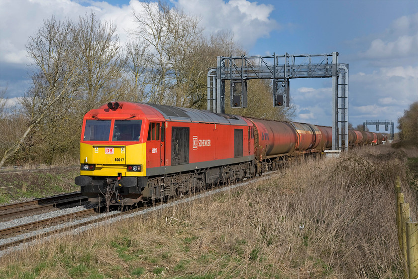 60017, 13.00 Theale-Robestson (6B33), Baulking SU324904 
 The daily 13.00 (or time thereabouts) 6B33 Theale to Robeston empty oil tanks more-than-often produces a class 60, not that it is really needed hauling the empty tanks back to west Wales. However, the fully loaded up working definitely does need the extra power of a class 60 over a 66. Here at Baulking, west of Wantage on the GWML, 60017 is seen in the lovely early spring sunshine getting a move on so as not to hold up fast express services hot on its heels! Notice the huge and relatively recently installed signal gantries, I am unsure if these will be removed and replaced when the electrification reaches this location? 
 Keywords: 60017 13.00 Theale-Robestson 6B33 Baulking SU324904