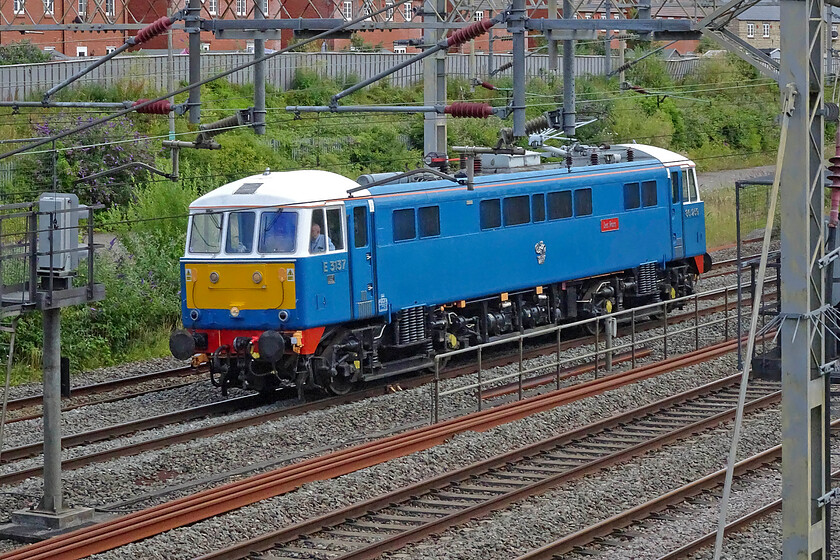 86259, 13.20 Wembley CS-Rugby CS (0Z50, 9E), site of Roade station 
 Having hauled the southern leg (out and back) of yesterday's North Wales Coast Express charter 86259 'Les Ross/Peter Pan' is seen passing Roade heading back to its stabling and servicing point in Rugby's former carriage sidings. Running as 0Z50 the locomotive left Wembley Yard at 13.20 and made good time arriving nine minutes early. 
 Keywords: 86259 13.20 Wembley CS-Rugby CS 0Z50 site of Roade station Les Ross Peter Pan