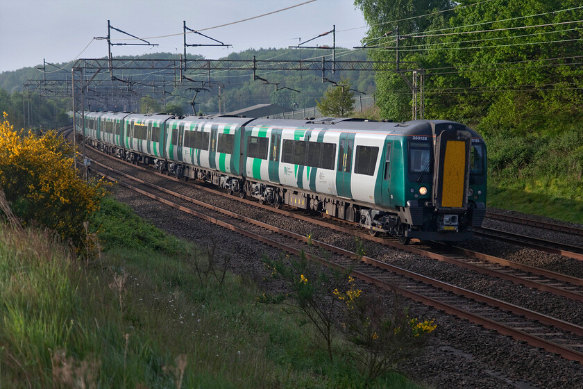 350128, LN 06.24 London Euston-Birmingham New Street (2Y47, 1L), Old Linslade 
 A little side-lit but with lighting such as this it does not matter too much! 350128 leads another Desiro pass Old Linslade working the 2Y47 06.24 London Euston to Birmingham New Street service. The bright yellow flowers of the gorse (ulex) and broom (cytisus scoparius) brighten up the scene signifying that this photograph was firmly taken in the spring! 
 Keywords: 350128 06.24 London Euston-Birmingham New Street 2Y47 Old Linslade London Northwestern Desiro