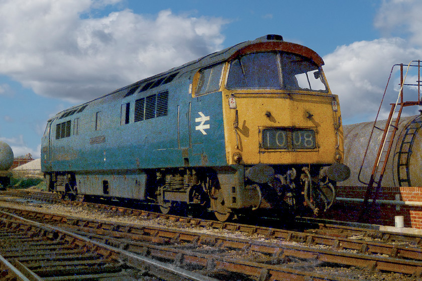 D1048 (not D1008!), fuelling point, Westbury MPD 
 Sitting in the spring sunshine at Westbury MPD is D1048 'Western Lady'. This Western was not D1008 ' Western Harrier', as indicated by the headcode panel, as that member of the class had been withdrawn two years previously. Either somebody with a good sense of humour had adjusted the headcode panel or it was simply an error, either way, it's a nice record shot whilst bagging an unofficial depot tour! 
 Keywords: D1048 fuelling point, Westbury MPD