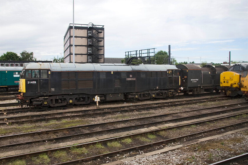 Caroline, 31459, 37419 & 31233, stabled, Derby REVL 
 Dominating this scene at Derby's REVL as the train passes is 31459 'Cerberus'. To the extreme left behind the Class 31 is inspection saloon 'Caroline' that was seen in action just over a month ago, see.... https://www.ontheupfast.com/p/21936chg/29996920804/x975025-caroline-37402-07-25-willesden To the extreme right are 37419 and 31233. 
 Keywords: Caroline 31459 37419 31233 stabled Derby REVL Cerberus'