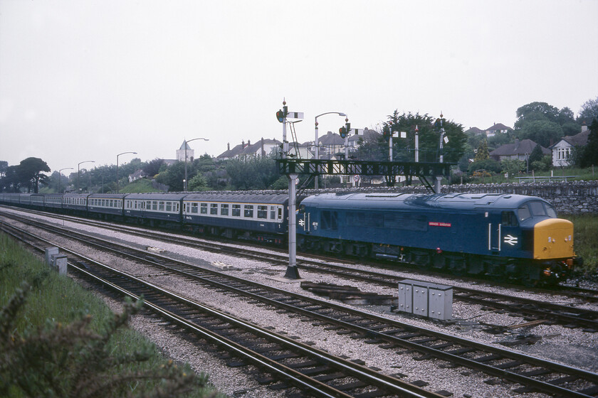 45111, 09.50 Bradford Exchange-Paignton (1V86), Aller Junction 
 45111 'Grenadier Guardsman' looks particularly smart having just been released from an overhaul at Derby Works as it approaches journey's end leading the 1V36 09.50 Bradford Exchange to Paignton service. This Peak survived in service for another six years so I suspect that the recent work's visit was probably its last apart from routine maintenance and repair. 
 Keywords: 45111 09.50 Bradford Exchange-Paignton 1V86 Aller Junction Grenadier Guardsman