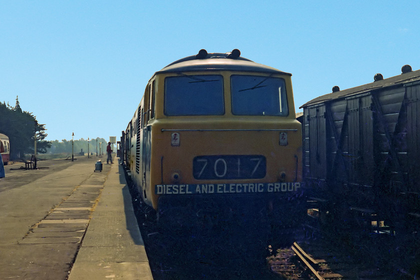 7017, stabled, Minehead station 
 I remember being excited to see this Hymek at Minehead! Wearing its DEG headboard D7017 sits with its nose on the shade sheltering from the intense sun. It had been out of BR service for less than a year when this picture was taken and it was soon to be put into use on the preserved line where it has remained ever since. 
 Keywords: 7017 Minehead station