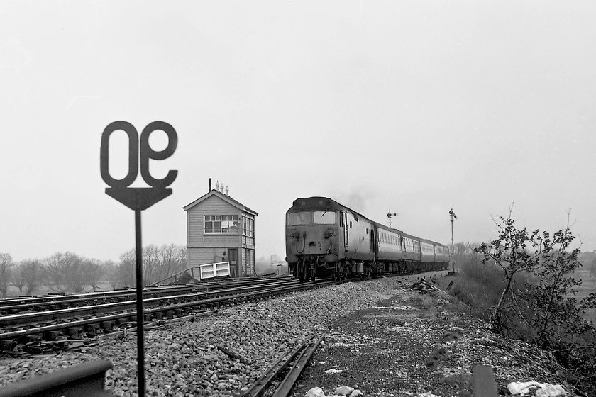 50038, 08.01 Paignton-London Paddington, Heywood Road Junction 
 50038 'Formidable' re-joins the mainline at Heywood Road Junction having stopped at Westbury station. It is working the 08.01 Paignton to Paddington that as was common practice at the time had a Mk. I catering coach marshalled near the front of the train, in this case the second vehicle in the consist. I am not sure if I had been given permission o be in this highly un-official position to take this picture or if a did a quick scramble up the bank, got the shot and Sid back down again before the signalman saw me? 
 Keywords: 50038 08.01 Paignton-London Paddington Heywood Road Junction