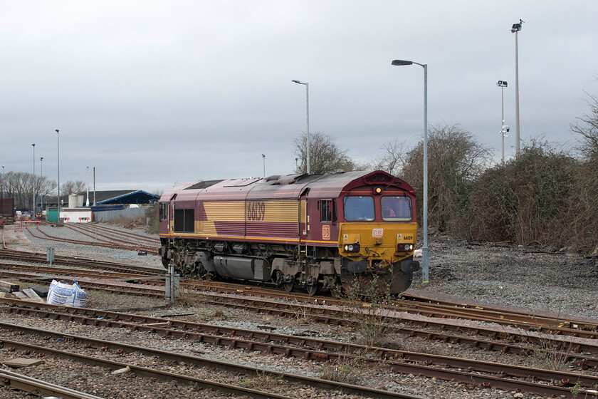 66139, shunting, Westbury Yard 
 66139 eases out of Westbury Yard to then return again in a shunting move that saw it return out of sight from the station platforms to the far western end of the sidings. I only have one other photograph of this rather mundane EWS liveried Class 66 taken much closer to home back in 2016, see..... https://www.ontheupfast.com/p/21936chg/25629464804/x66139-14-05-daventry-dollands-moor 
 Keywords: 66139 Westbury Yard DB EWS