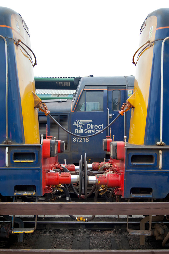 20302, 37218 & 20303, on display, DRS Open Day, Gresty Bridge 
 During their time with BR (and subsequently) this is how class 20s spent most of their time. They generally operated in pairs connected nose to nose. This, as the view from the cab was much better for the driver when running flat end first. Behind the jumper cables in this shot is another DRS beauty, 37218. The trio are seen here on-display at the Gresty Bridge Open Day. 
 Keywords: 20302 37218 20303 DRS Open Day Gresty Bridge