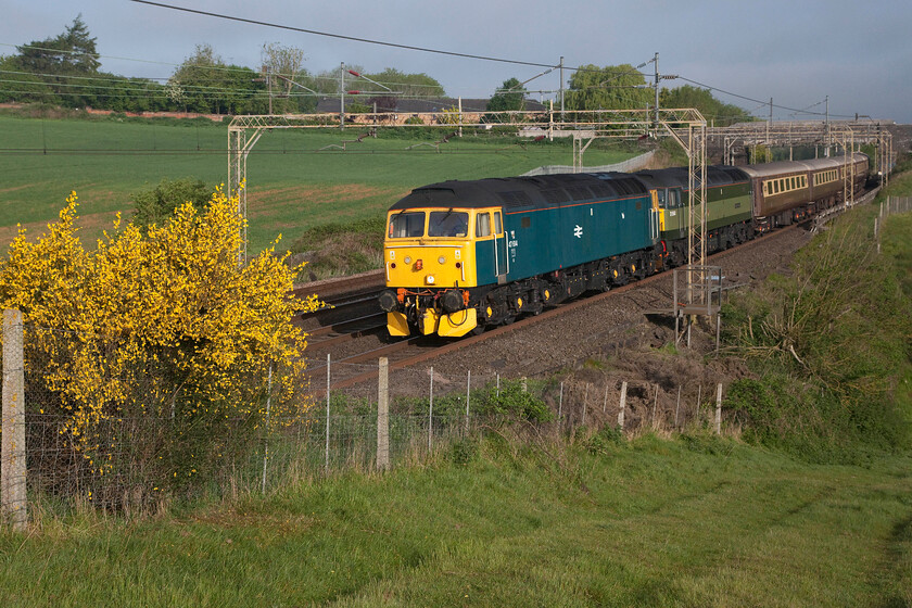 47614 & D1944, outward leg of English Riviera Statesman, 06.34 Rugby-Paignton (1Z42, 20E), Old Linslade 
 I deliberately went for this rather less than traditional framing of The English Riviera Statesman charter at Old Linslade to include the gorse (ulex) bush in full flower to the left of the scene. It has largely worked but for the fact that the train was double-headed rather than in top and tail mode as I had gambled! Running as 1Z42 the charter left Rugby at 06.34 and was heading for Paignton led by 47614 and D1944 (47501) 'Craftsman' giving passengers a few hours on the English Riviera before heading for home again. Fortunately for them, the charter arrived some twenty minutes early giving them a little more time to enjoy the spring sunshine. 
 Keywords: 47614 D1944 The English Riviera Statesman, 06.34 Rugby-Paignton 1Z42 Old Linslade