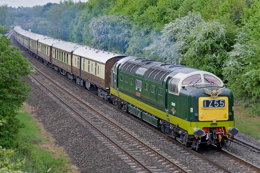 D9009, outward leg of The Golden Jubilee Pullman, 07.56 London Victoria-Bridgnorth (1Z56), Hardwick Farm bridge SP463429 
 Looking superb and complete with a replica Flying Scotsman thistle adorning the front, D9009 (55009) 'Alycidon' accelerates away from Banbury leading the outward leg of The Golden Jubilee Pullman charter that started out from London Victoria. It hauled the lovely, mainly, vintage Pullman stock to the Severn Valley Railway where GWR 2-8-0 2857, SR 4-6-2 34053, LMS 2-6-0 43106 and 55019 all were involved in hauling some special trains for the day. Despite the familiar whisp of blue exhaust from the Deltic it was, unfortunately, not being worked particularly hard at this location, the rising gradient being one of the reasons that I chose this spot, as the charter was right behind a Chiltern service and running under caution; the best-made plans and all that! 
 Keywords: D9009 The Golden Jubilee Pullman 07.56 London Victoria-Bridgnorth 1Z56 Hardwick Farm bridge SP463429 Alycidon DPS Deltic Preservation Society Pullman