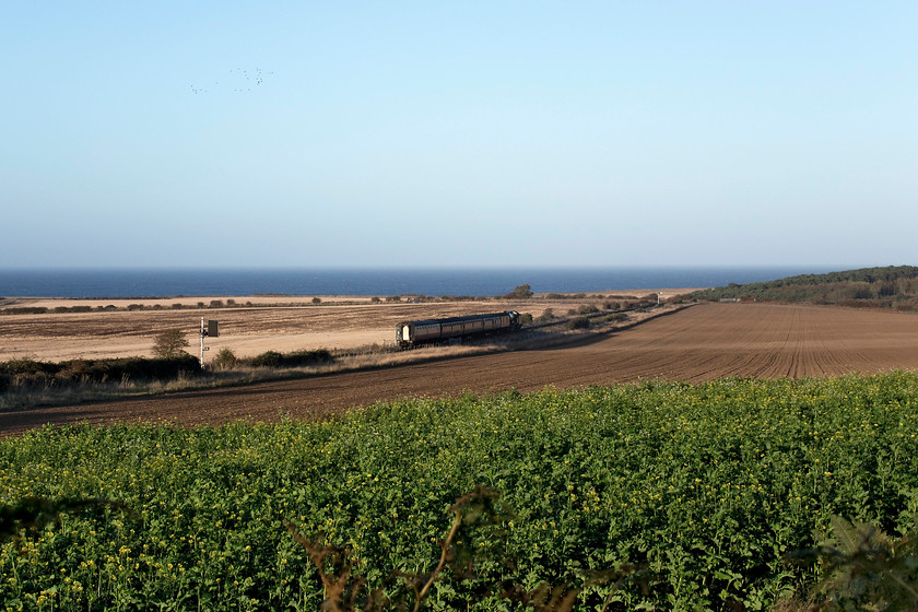 8572, 16.25 Holt-Sheringham, Weybourne Woods 
 As the shadows begin to lengthen, LNER B12 8572 heads the 16.25 Holt to Sheringham, the final service of the day. I am standing just below Weybourne Woods and looking in a north easterly direction with the North Sea in the background. Close examination of the greenery in the foreground reveals some yellow flowers. It is actually oilseed rape in flower some five months after this usually occurs. There were other patches in this area that appeared to have been cultivated, climate change or an example of a Norfolk micro-climate; I'll let you decide! 
 Keywords: 8572 16.25 Holt-Sheringham Weybourne Woods