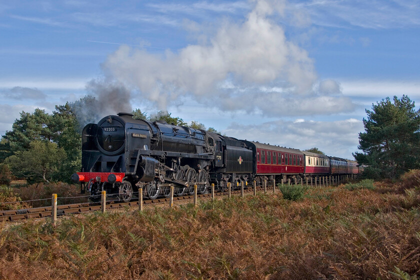 92203, 10.15 Sheringham-Holt, Kelling Heath-17.10.23 
 Previously owned by the late and renowned artist David Shepherd, equally famed for his wildlife and railway oils, 92203 'Black Prince' is now part of the North Norfolk Railway's collection. The 1959 built 2-10-0 9F was one of a class that was widely regarded as being at the pinnacle of steam locomotive production entering service just nine years prior to the complete abolition of steam on British Railways with 92203 being withdrawn in November 1967. The NNR make good use of the locomotive with it being a regular and dependable performer. However, having said this, I did hear from staff that it had failed the previous week having to be rescued by another locomotive! It is seen crossing Kelling Heath working the 10.15 Sheringham to Holt service. 
 Keywords: 92203 10.15 Sheringham-Holt Kelling Heath Black Prince