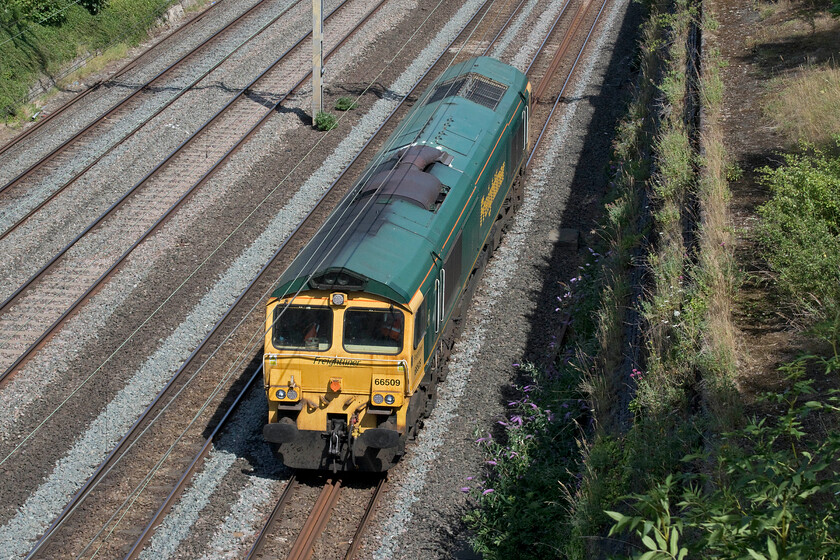 66509, 08.28 Crewe Basford Hall-Wolverton Centre Sidings (RT), Roade cutting 
 I never did discover the purpose of the 08.28 Crewe Basford Hall to Wolverton Works light engine move or even its reporting number. 66509 is seen passing through Roade cutting on the up slow line just a short distance from its destination. I hope that the crew were not too hot on arrival as the temperature outside was climbing towards its peak in the afternoon already being well over thirty degrees according to my thermometer. 
 Keywords: 66509 08.28 Crewe Basford Hall-Wolverton Centre Sidings Roade cutting