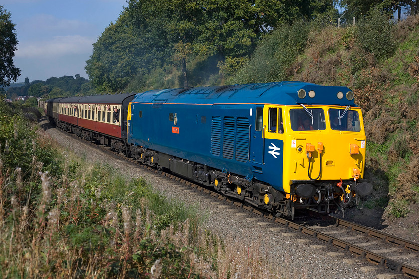 50035, 11.18 Bewdley-Kidderminster, West Midlands Safari Park SO799748 
 Looking authentic in its pre-overhauled but named condition except for the inauthentic roof colour and headcode panel, 50035 'Ark Royal' storms away from Bewdley with the 11.18 to Kidderminster hauling a rake of the SVR's Mk. 1 stock as part of the autumn 2015 diesel gala. As can be seen from the 'window leaners' this locomotive proved particularly popular with the gathered enthusiasts. I took a picture of 50035 in this livery back on my summer bike tour of the West Country in the summer of 1979 but it was not in quite such good condition then, see..... https://www.ontheupfast.com/p/21936chg/26623459804/x50035-12-30-london-paddington-paignton

There is an audio recording of this event on my youtube channel, see.... https://youtu.be/AC9HMnH2I40 
 Keywords: 50035 11.18 Bewdley-Kidderminster West Midlands Safari Park SO799748 Ark Royal Hoover