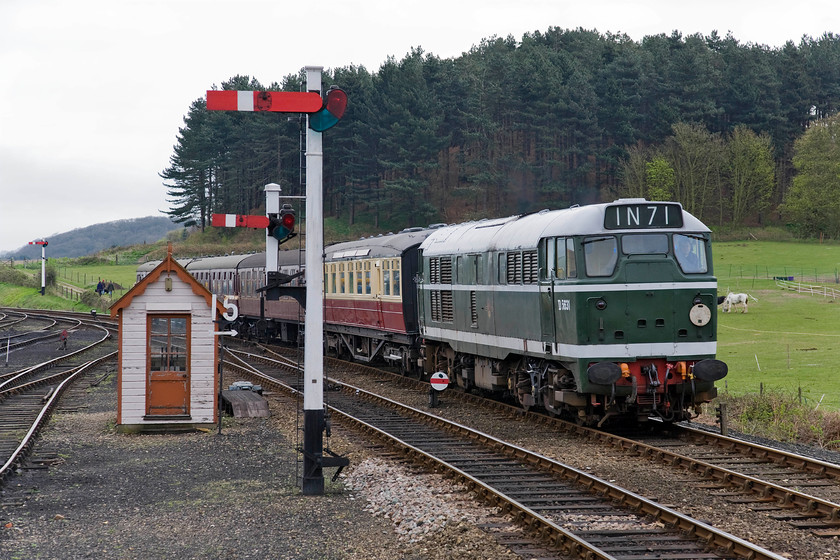 D5631, 09.45 Sheringham-Holt, Weybourne station 
 Showing off its reinstated nose connection doors (just to this end) D5631 arrives at Weybourne station leading the 09.45 Sherringham to Holt service on the North Norfolk Railway. As can be seen, marshalled behind the locomotive is one of the line's LNER Gresley buffet cars built in the late 1930s. 
 Keywords: D5631 09.45 Sheringham-Holt Weybourne station NNR North Norfolk Railway Poppy Line 31207