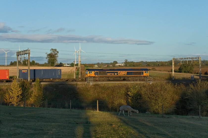 66716, 13.57 Birch Coppice-London Gateway (4L68, RT), Roade Hill 
 One of the field's resident alpacas takes no notice of the passing 4L68 13.57 Birch Coppice to London gateway service hauled by 66716 'Locomotive & Carriage Institution Centenary 1911-2011'. I am standing by a gate on Roade Hill with the M1 windfarm (so named due to its location adjacent to the motorway) is seen to the top left. 
 Keywords: 66716 13.57 Birch Coppice-London Gateway 4L68 Roade Hill Locomotive & Carriage Institution Centenary 1911-2011