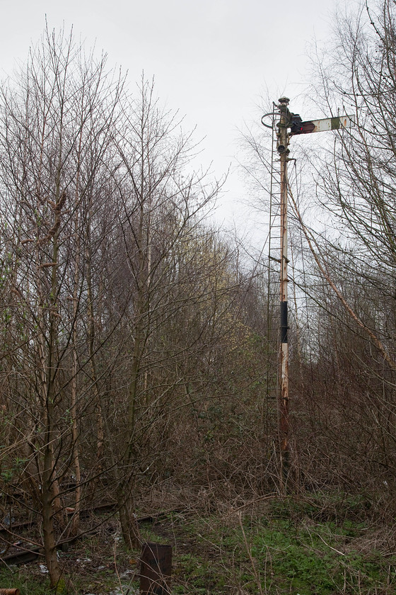 Home signal, former St Helens and Runcorn Gap Railway, St 
 A short distance from the station I spotted this signal post and arm hidden in the trees. A brief walk got me to it and little research found that it was at the junction of the former line that linked St. Helens to St. Helens Junction on the Chat Moss line. This now overgrown section of track was last used in the mid 2000s in connection with the bitumen factory at Baxters Lane in Sutton. I wonder if the signal could be pulled off still?