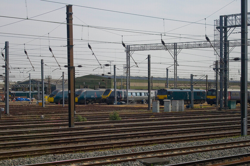 92018, 390020, 390125, 221118, 92010 & 321419, stabled, Wembley Yard 
 It is a little unusual to see the far side of Wembley Yard from passing trains with various freights often blocking the view. Today the unfettered view sees Caledonian Sleeper's 92018 and 92010 with former Great Northern 321419 to the extreme right. Centre sees Avanti's 390020, 390125 and Voyager 221118. 
 Keywords: 92018 390020 390125 221118 92010 321419 Wembley Yard Avanti West Coast Caledonian Sleeper