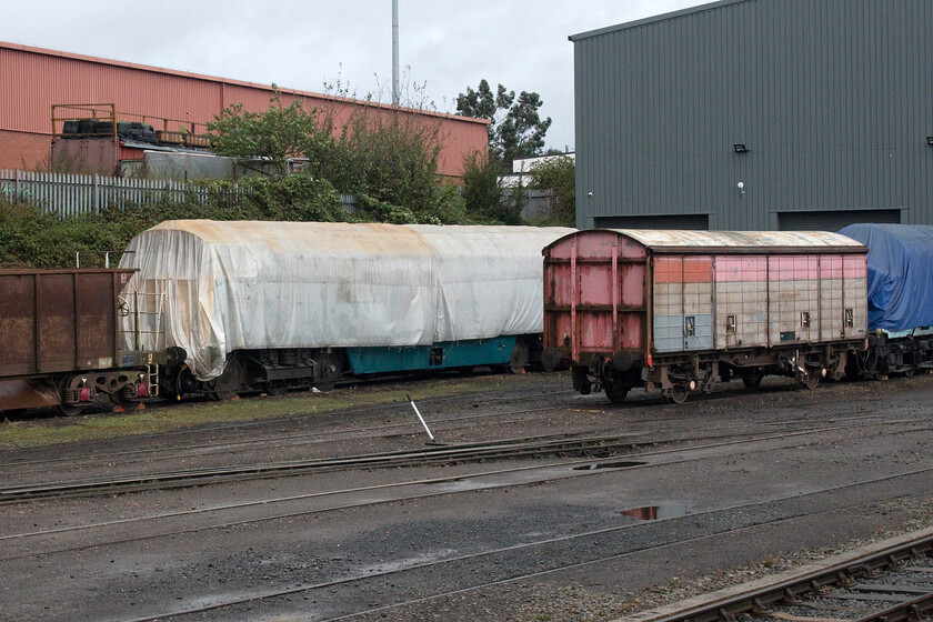 D1013 & 37308, stored, Kidderminster depot 
 On the approach to Kidderminster station, be it on the national network or on Severn Valley Railway metals, a clear view is afforded of the preserved line's extensive diesel maintenance depot. Amongst much on view D1013 'Western Ranger' is seen under a large tarpaulin with 37308 to the extreme right. The Western has been in receipt of tens and hundreds of pounds worth of restoration money spent on it with even more hours of volunteer labour over the last decade or so. The final significant task now being undertaken is the assessment and overhaul of the bogies. The train was last lifted forty-five years ago so the Western Locomotive Association are intrigued to find out what things are like 'down below'! It is estimated that it will cost an eye-watering twenty thousand pounds per bogie to overhaul them making them fit for a further ten years and one hundred and fifty thousand miles of service. 
 Keywords: D1013 37308 Kidderminster depot