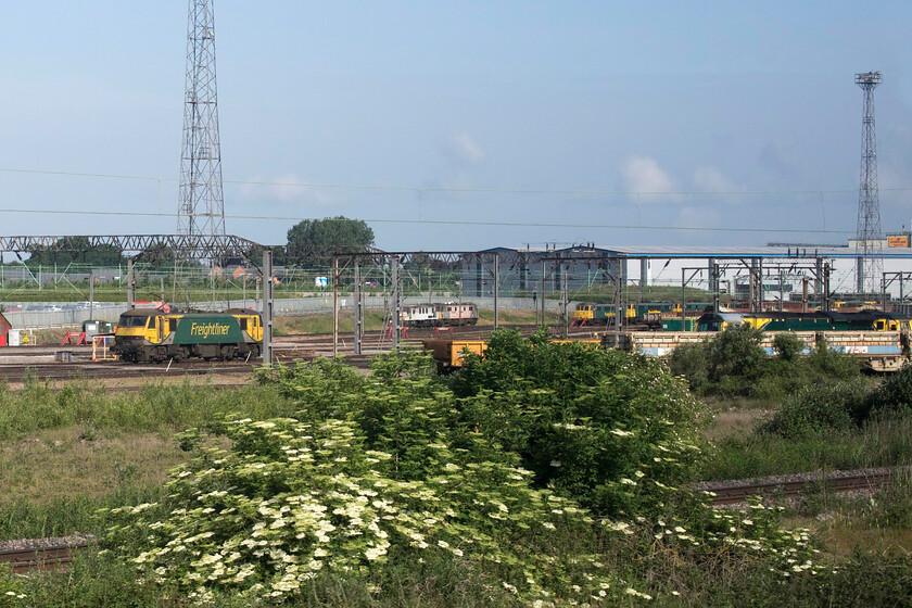 90043 & Class 86s, stored, Crewe Basford Hall 
 The future of the stored Class 86s is pretty grim with the ones seen here probably going for scrap once Freightliner can get this organised. Also in this view of Crewe Basford Hall is 90043 to the left and an unidentified Class 70 partially hidden to the right. 
 Keywords: 90043 Class 86s Crewe Basford Hall