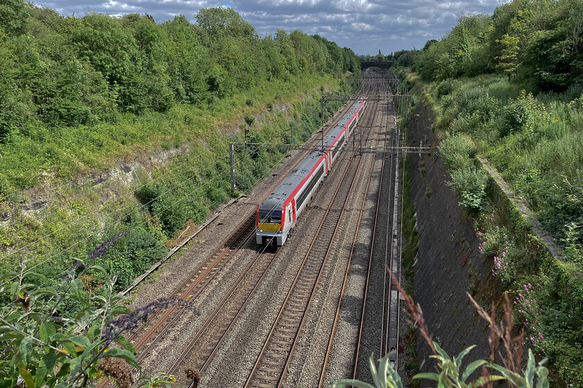 175113 & 175003, 08.35 Landore TMD-Ely Papworth Sidings (5Q46, 9E), Roade cutting 
 Another pair of perfectly serviceable units go for storage and facing a very uncertain future that could well result in disposal. TfW's 175113 and 175003 run under their own power through Roade as the 08.35 Landore to Ely Papworth sidings. In a railway world where new trains are exorbitantly expensive and more often than not do not run properly and even end up going for storage themselves, the railways dispose of perfectly good and reliable assets; what's wrong with everybody? 
 Keywords: 175113 175003 08.35 Landore TMD-Ely Papworth Sidings 5Q46 Roade cutting